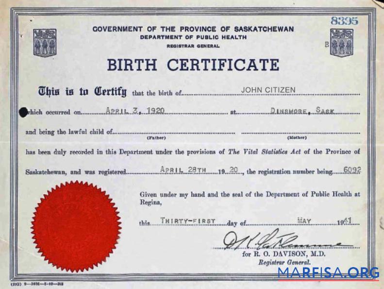 Realistic Canada Department of Public Health birth certification template